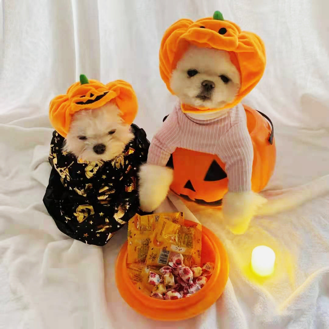 Pet Cat Dog Pumpkin Cat Hat Halloween Ghost Festival Decoration Headwear Supplies