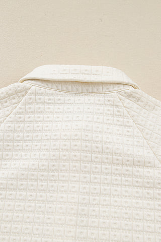 Beige Pineapple Textured Half Button Collared Sweatshirt