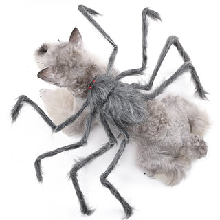 Halloween pet clothes big spider transforms into dog clothes