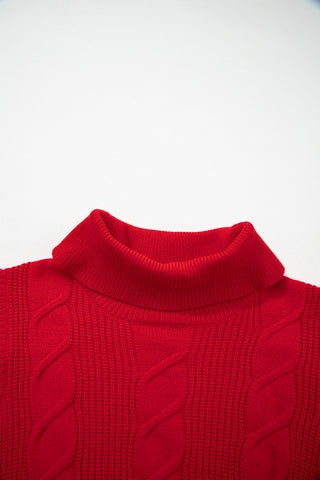 Jet Stream Cable Knit Turtleneck Ruffled Short Sleeve Sweater